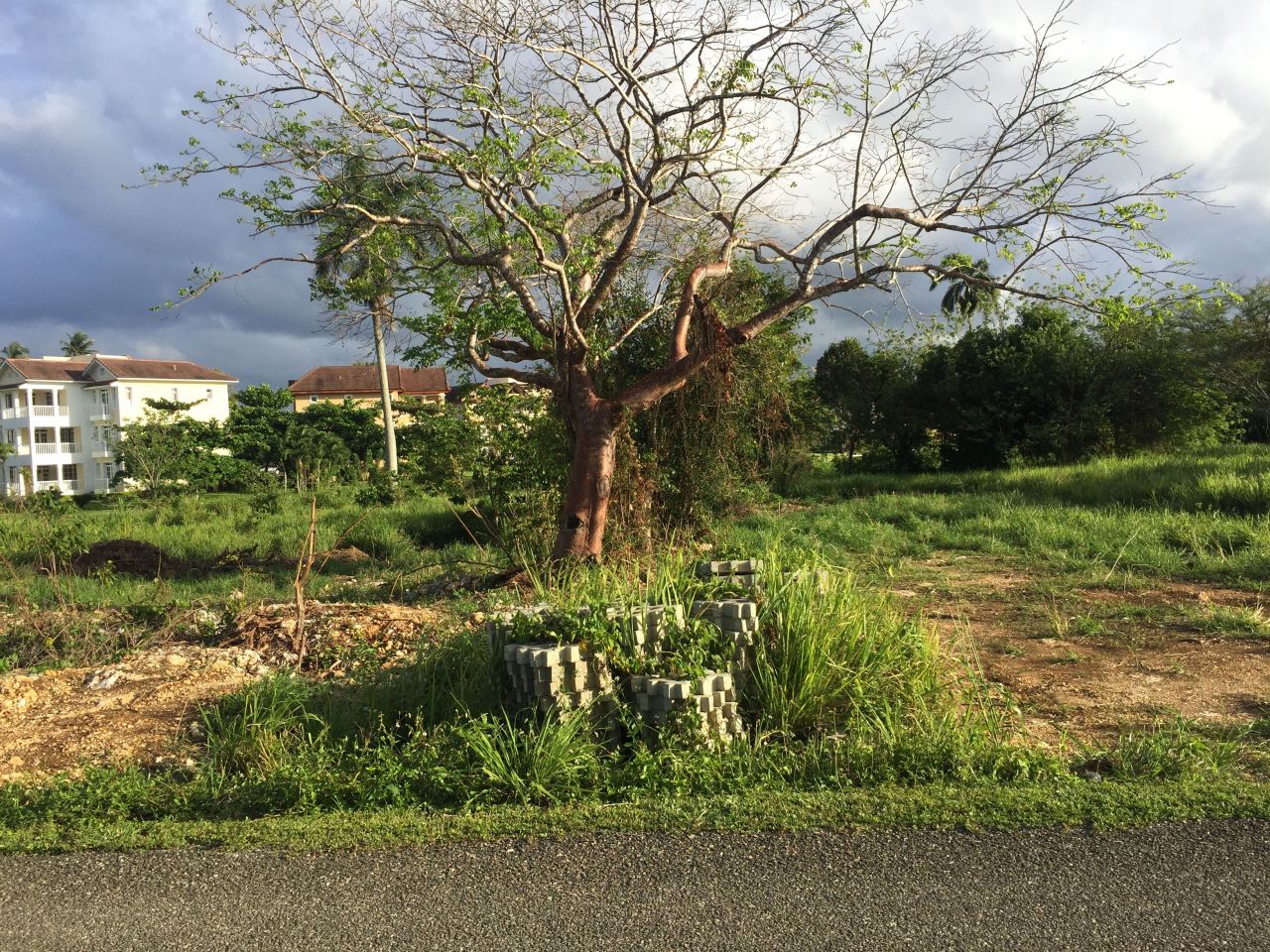 Земля в Сосуа, Доминиканская Республика, 339 м² - фото 4