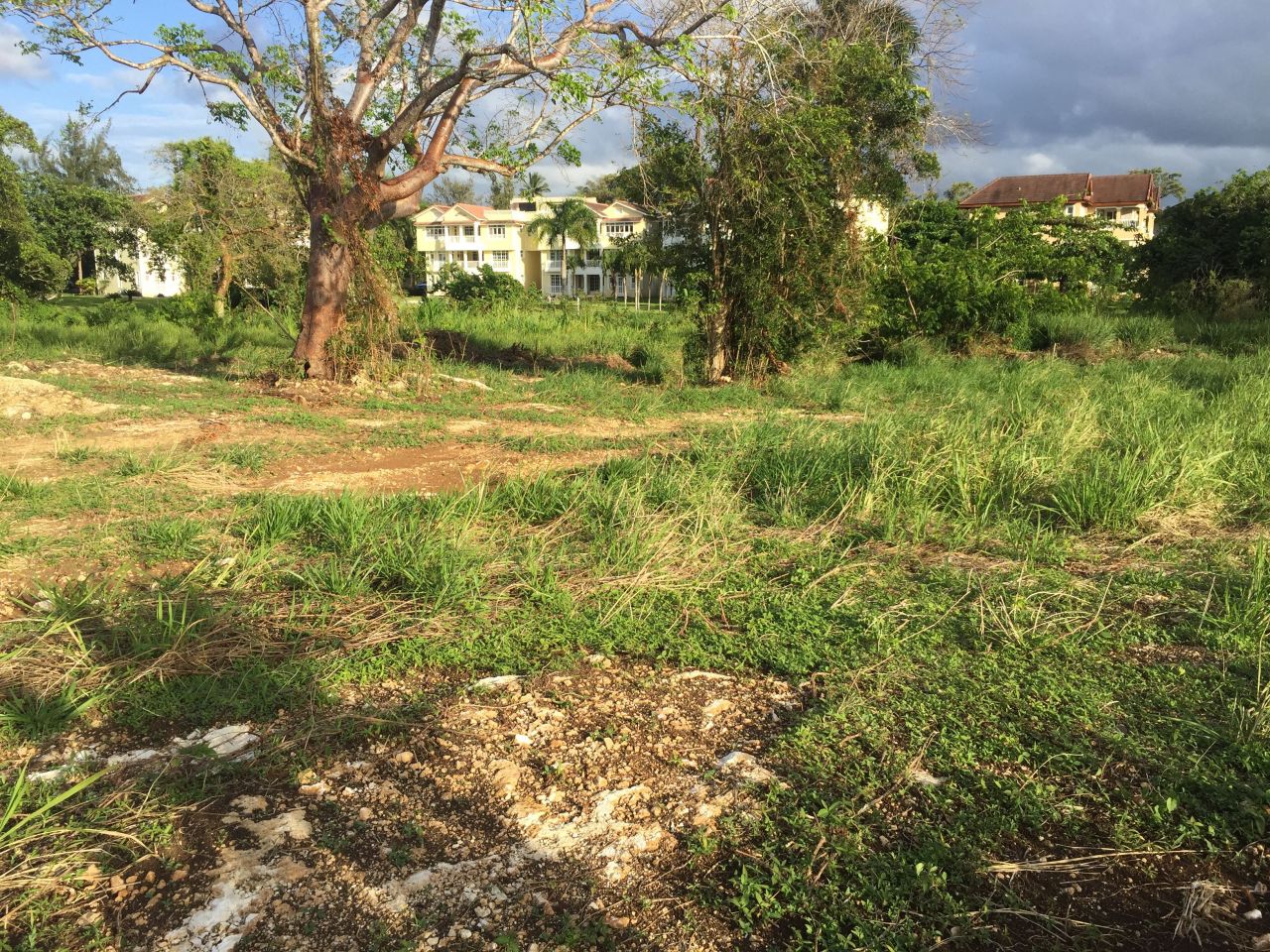 Земля в Сосуа, Доминиканская Республика, 339 м² - фото 6