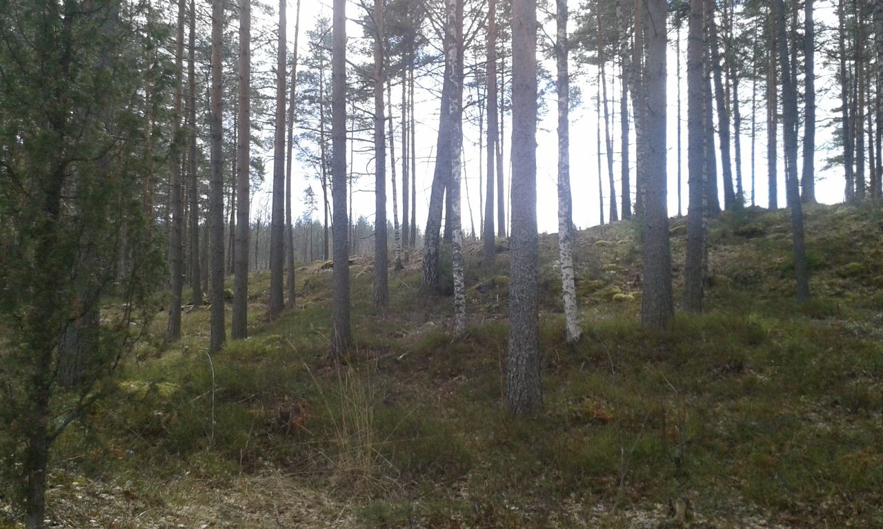 Земля в Лаппеенранте, Финляндия, 0.91 Га - фото 1