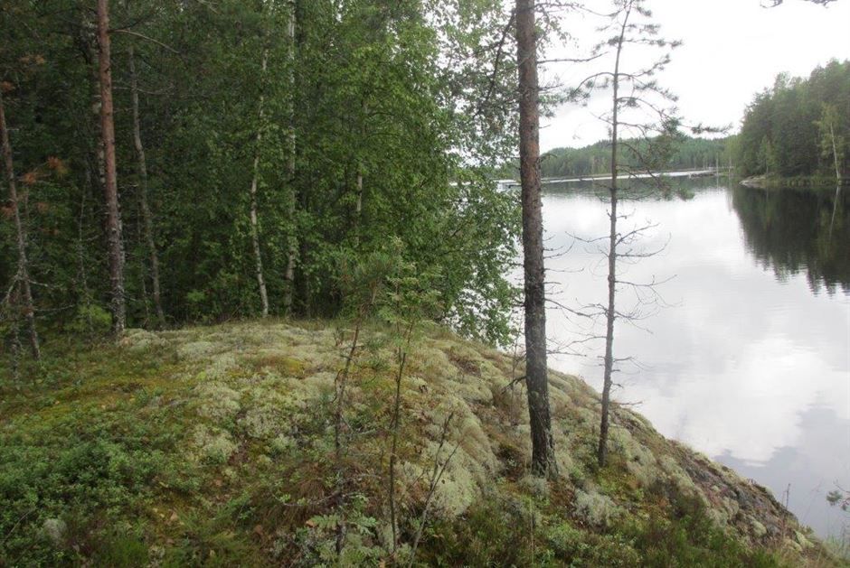 Земля в Руоколахти, Финляндия, 3 050 м2 - фото 1