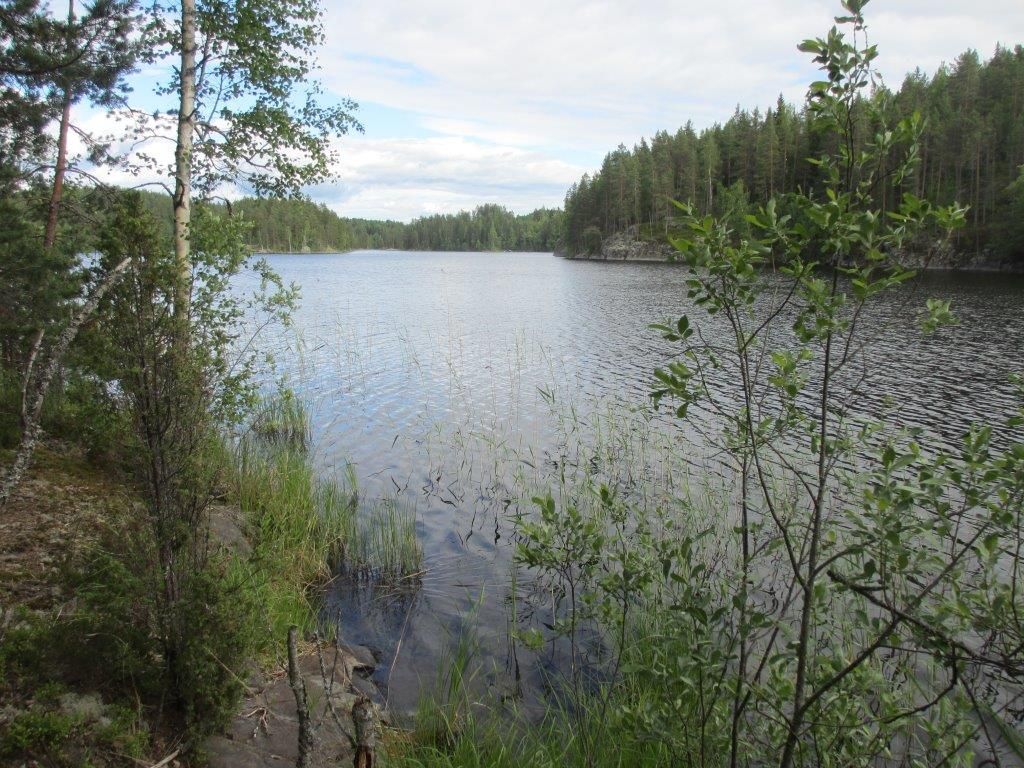 Земля в Савонлинне, Финляндия, 4 200 м2 - фото 1