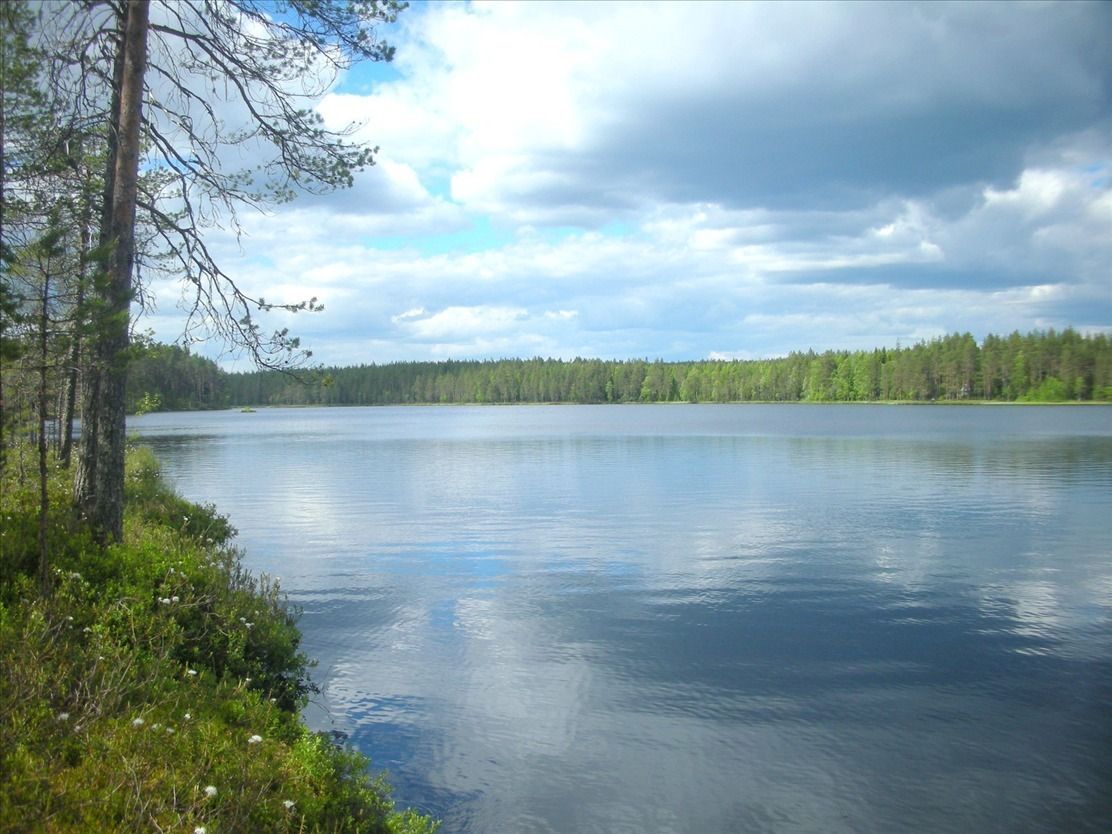 Коттедж в Ювяскюля, Финляндия, 20 м2 - фото 1