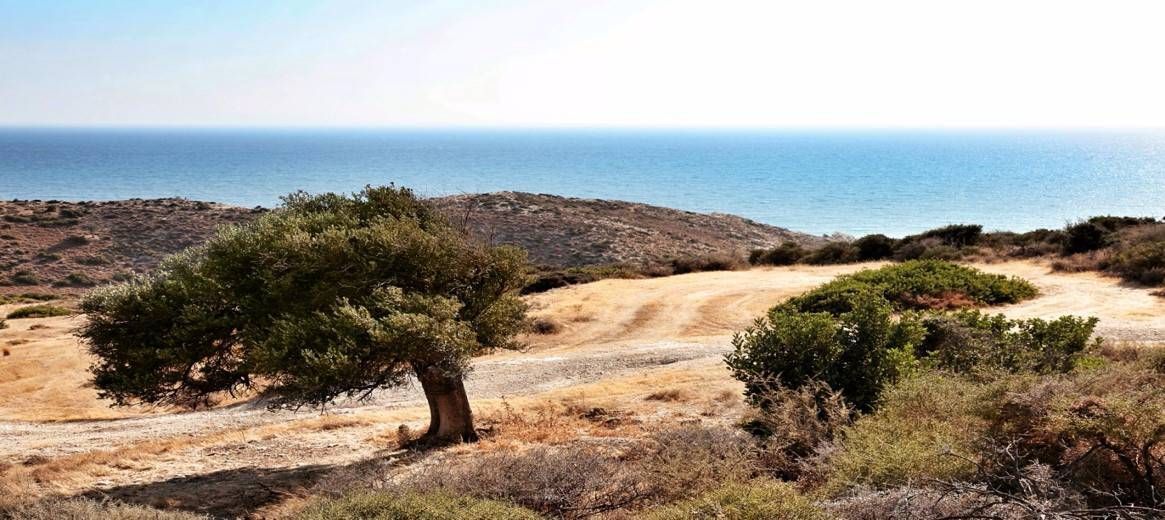 Земля в Лимасоле, Кипр, 95 059 м2 - фото 1