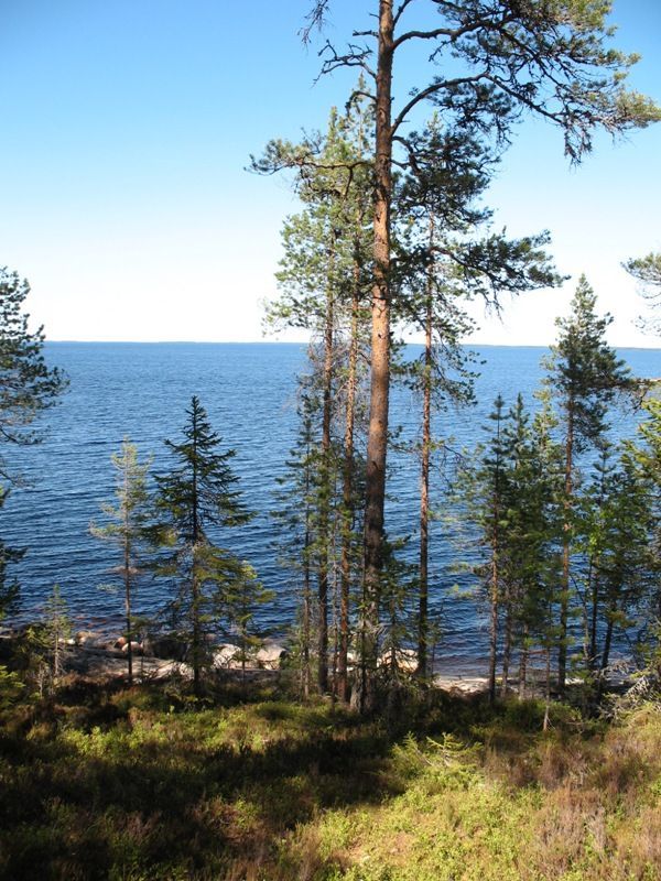 Земля в Савонлинне, Финляндия, 8 050 м2 - фото 1