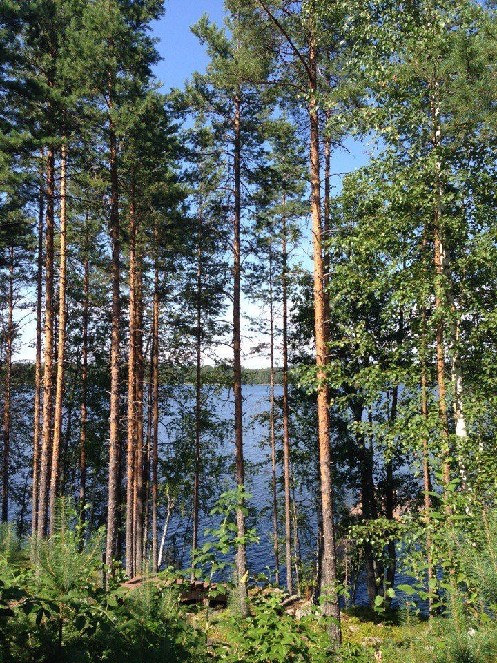 Земля в Пуумала, Финляндия, 2.71 Га - фото 1