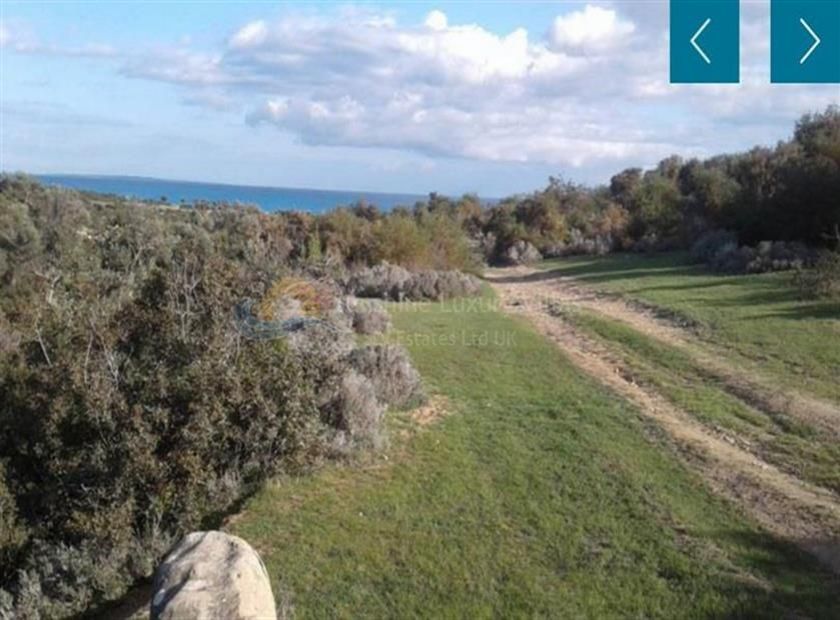 Земля в Писсури, Кипр, 9 768 м2 - фото 1