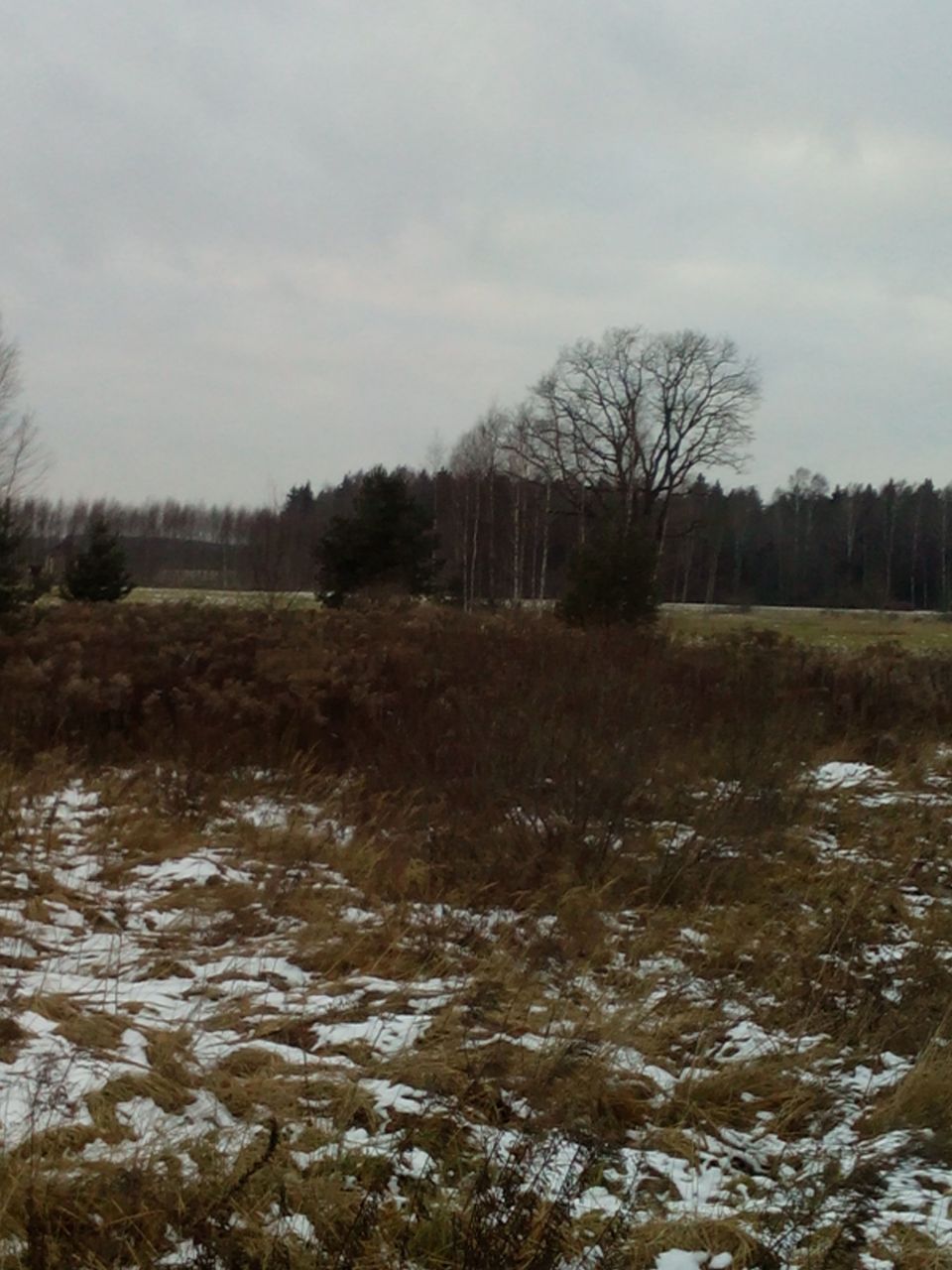 Земля в Кекавском крае, Латвия, 8.48 Га - фото 1