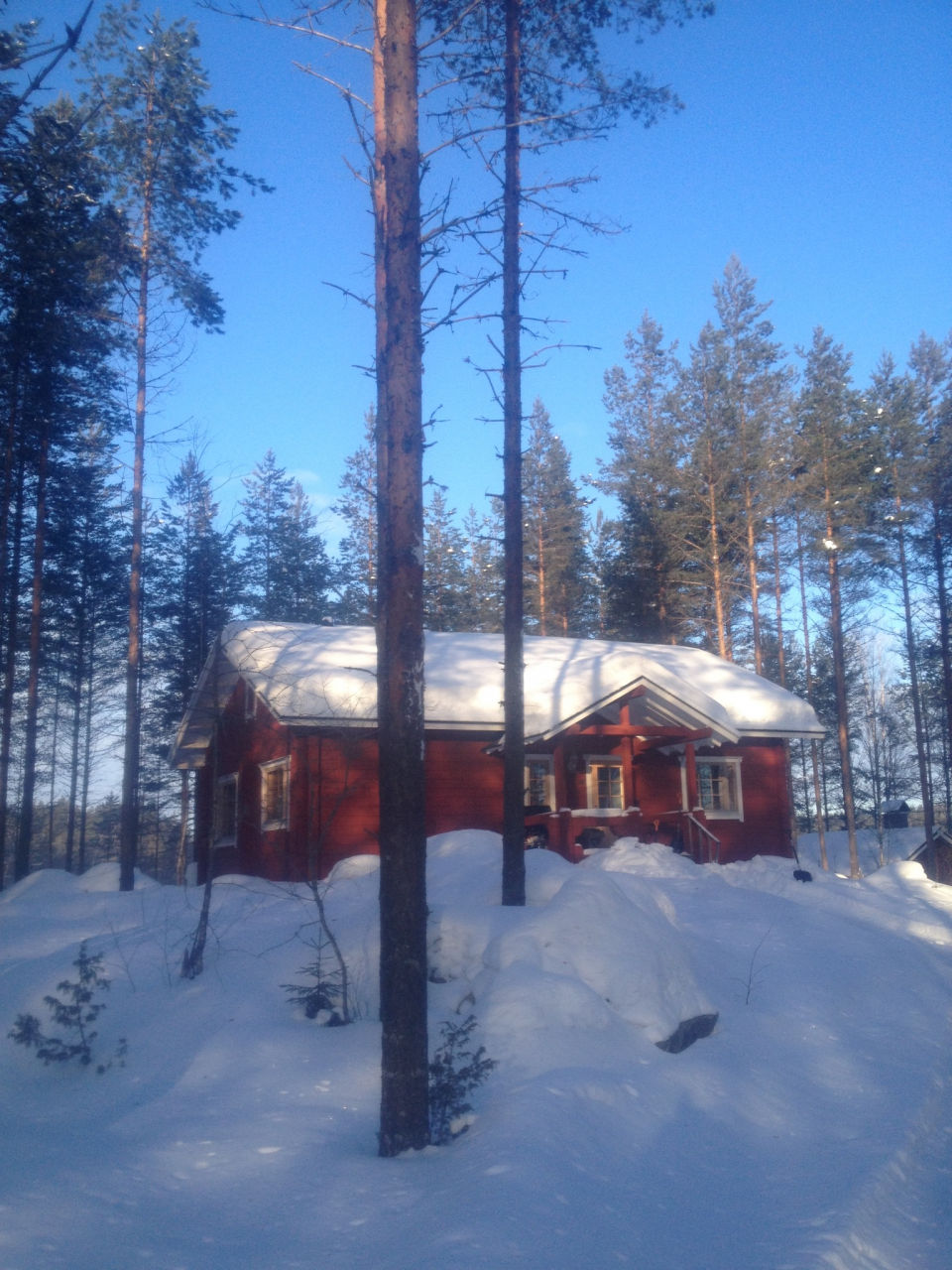 Дом в Каави, Финляндия, 100 м2 - фото 1