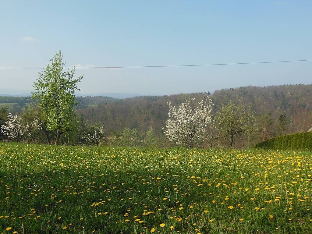 Земля в Иванчна-Горице, Словения, 878 м2 - фото 1