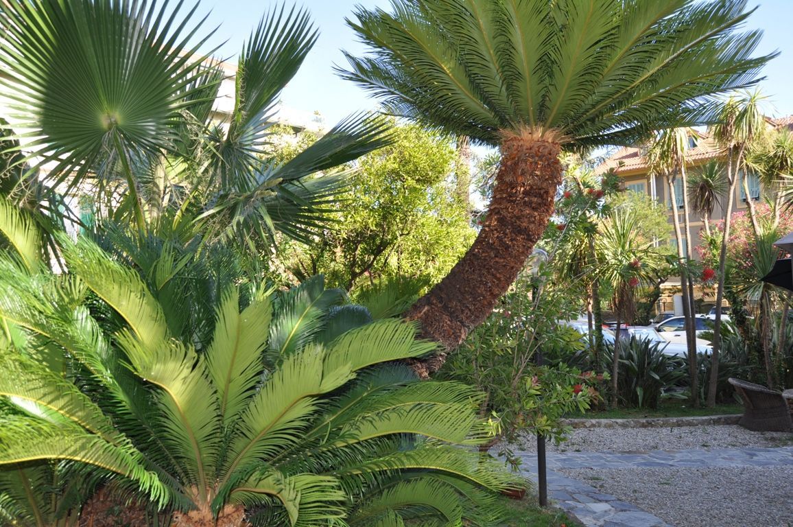 Отель, гостиница в Сан-Ремо, Италия, 1 000 м² - фото 12