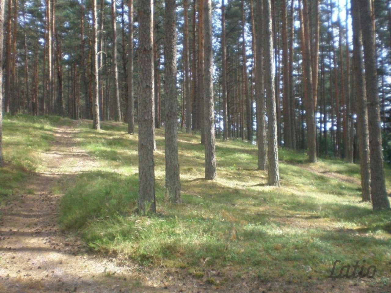 Земля в Рижском крае, Латвия, 403 900 м2 - фото 1