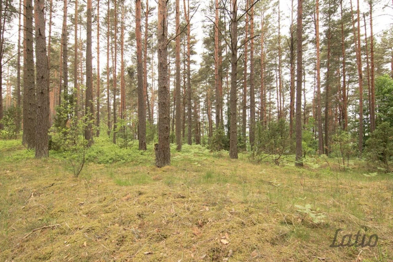 Земля в Рижском крае, Латвия, 2 250 м2 - фото 1
