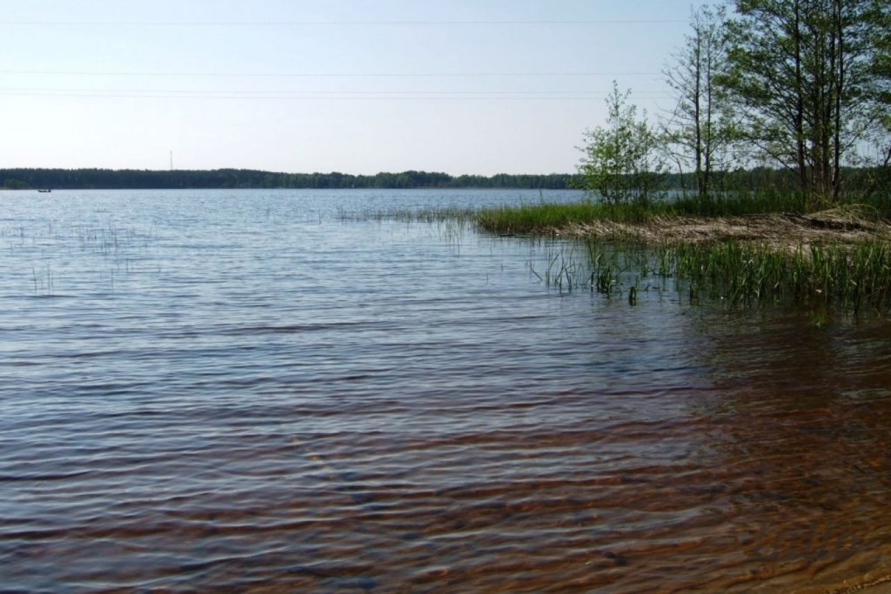 Земля в Рижском крае, Латвия, 6 194 м2 - фото 1