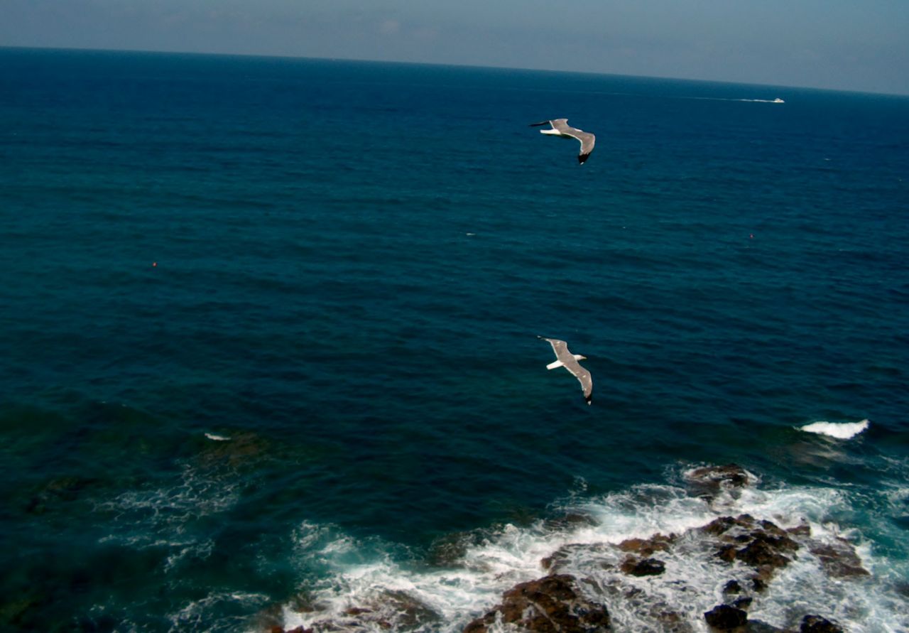 Вилла в Кастильончелло, Италия, 700 м² - фото 2