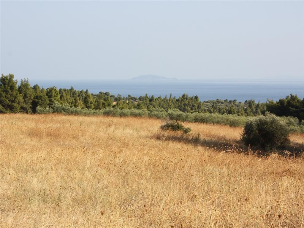 Земля на Халкидиках, Греция, 17 000 м2 - фото 1