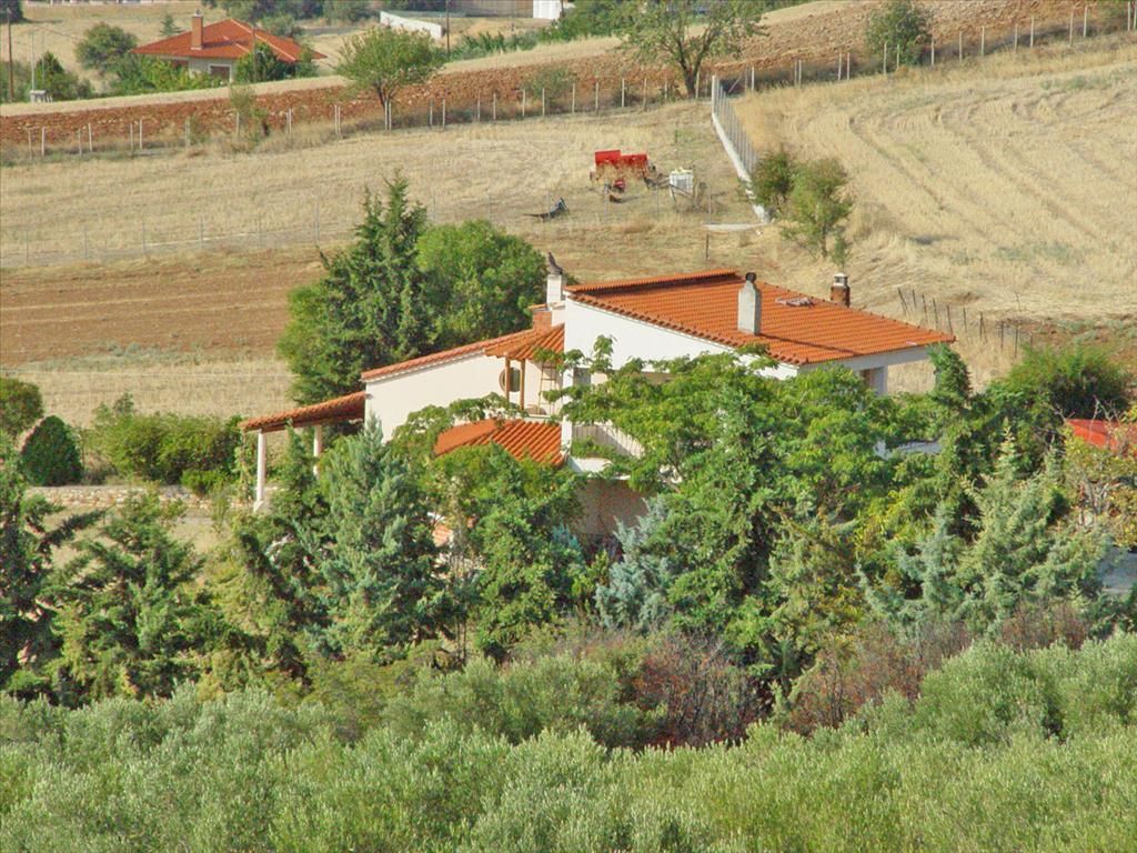 Дом в Полигиросе, Греция, 360 м2 - фото 1