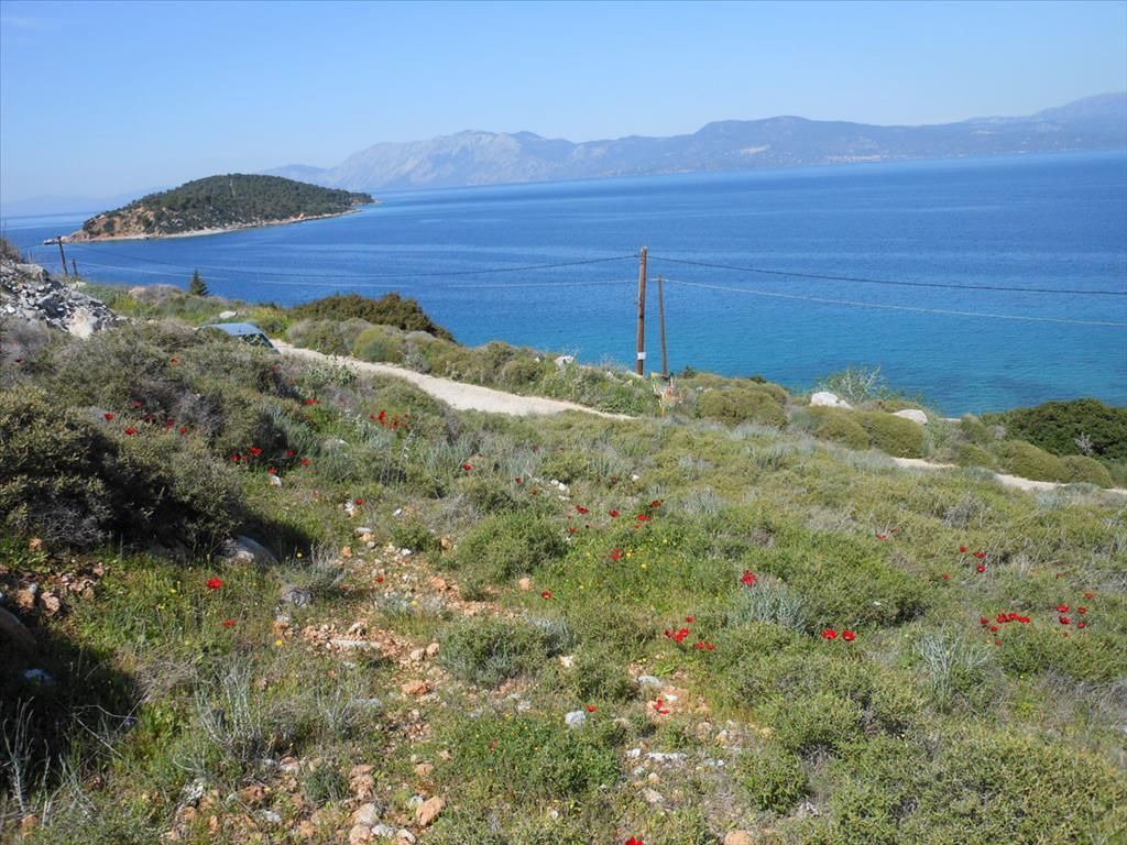 Земля в Дилеси, Греция, 780 м2 - фото 1