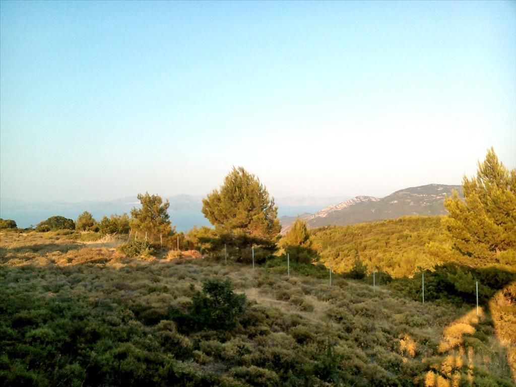 Земля в Эретрии, Греция, 7 300 м2 - фото 1