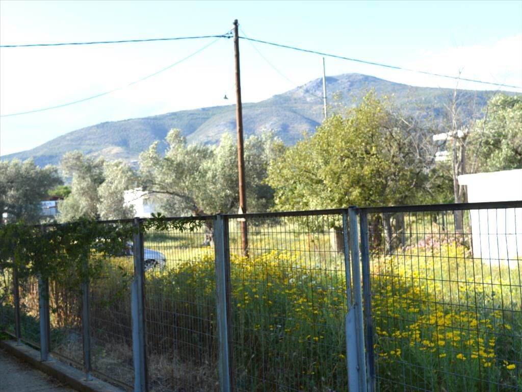 Дом в Эретрии, Греция, 100 м2 - фото 1