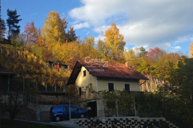 Коттедж в Литие, Словения, 150 м2 - фото 1