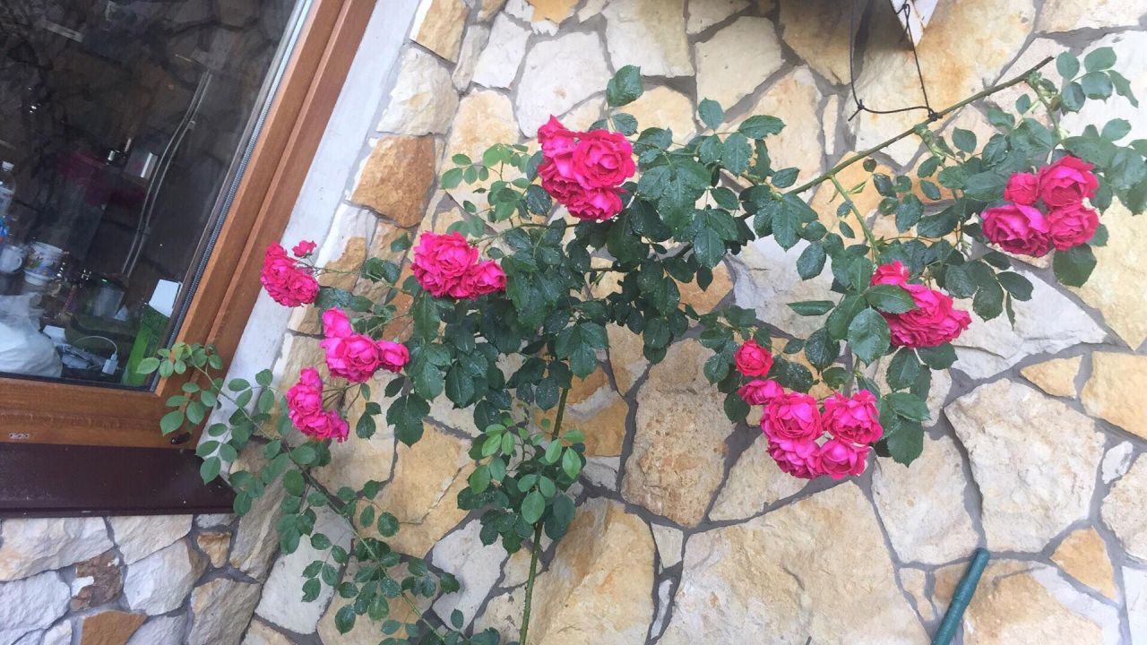 Дом Одесса, Украина, 120 м² - фото 2