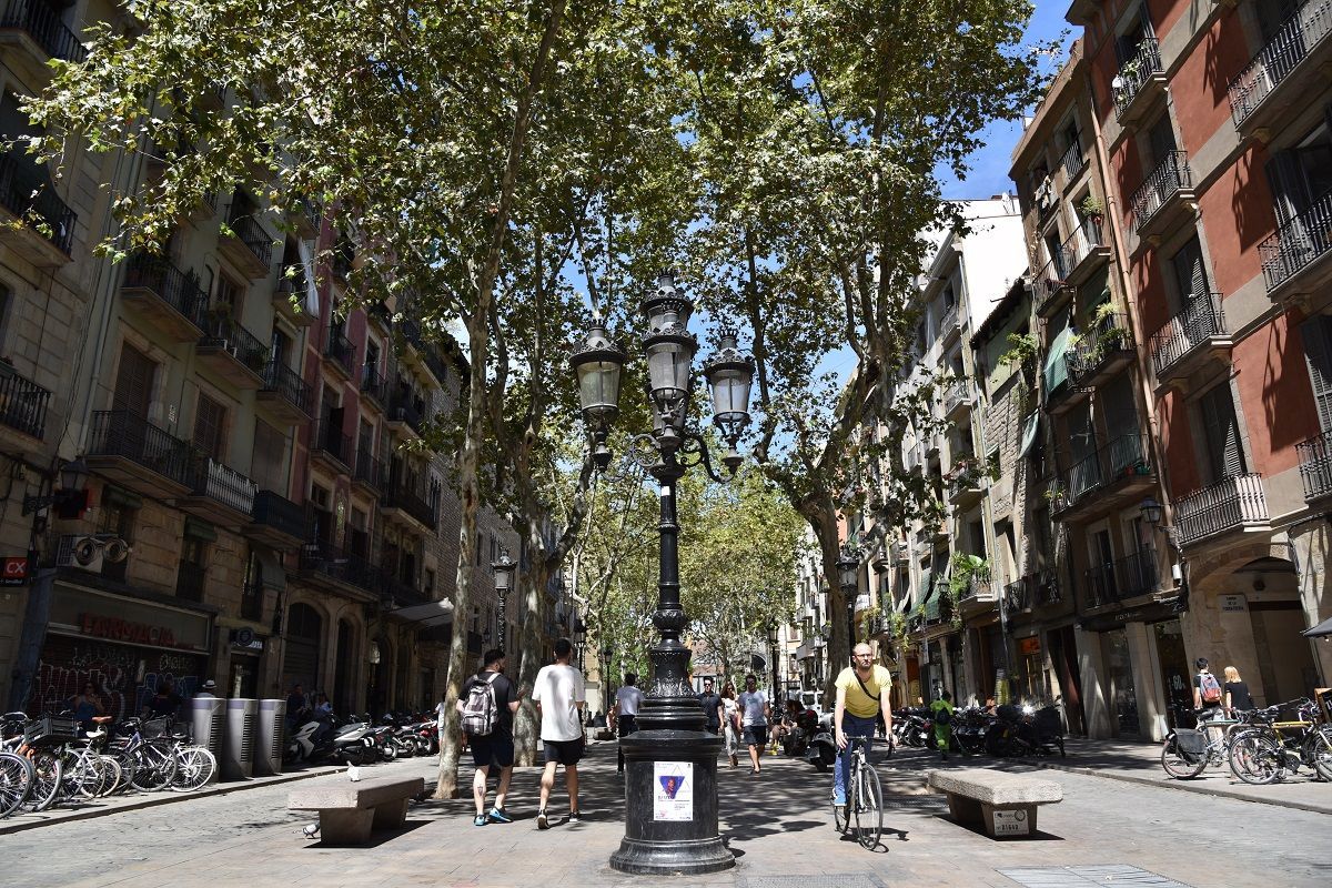 Коммерческая недвижимость в Барселоне, Испания, 126 м2 - фото 1