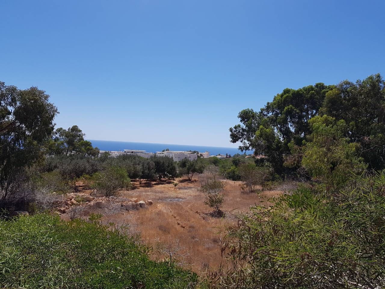 Земля в Протарасе, Кипр, 10 000 м2 - фото 1