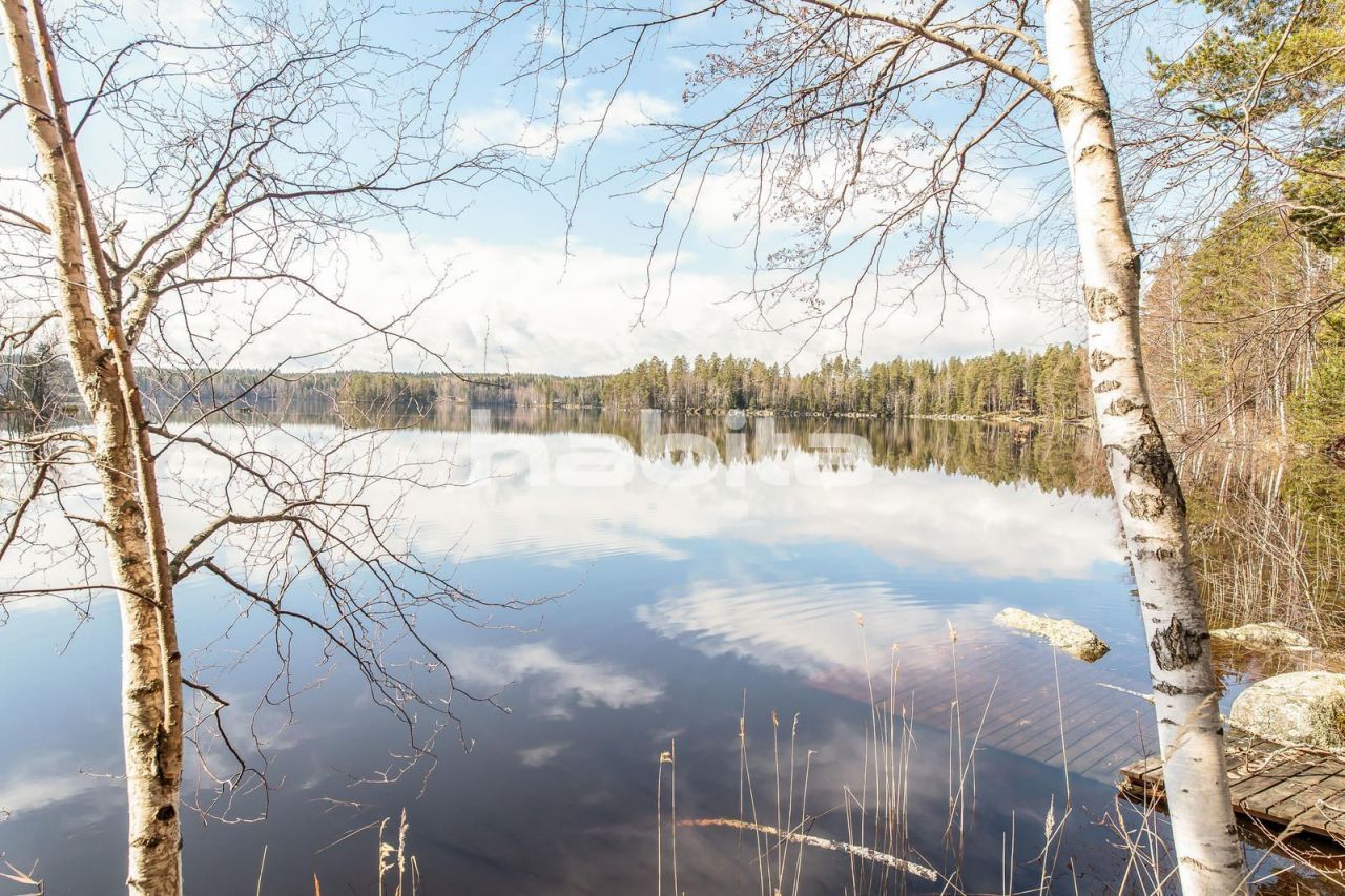 Коттедж в Хямеэнлинна, Финляндия, 45 м2 - фото 1