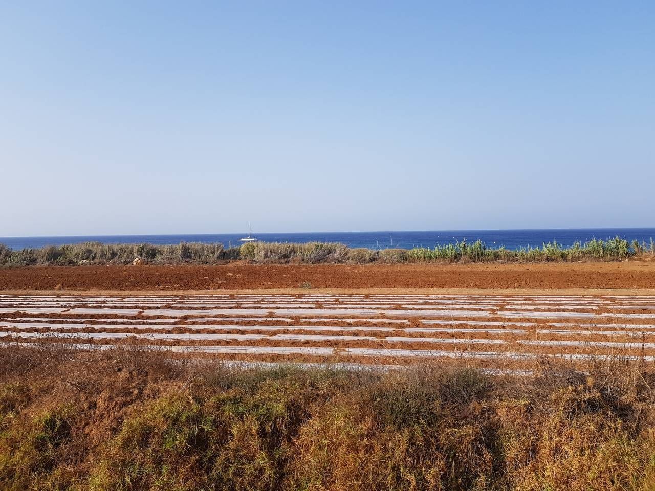 Земля в Протарасе, Кипр, 9 300 м2 - фото 1
