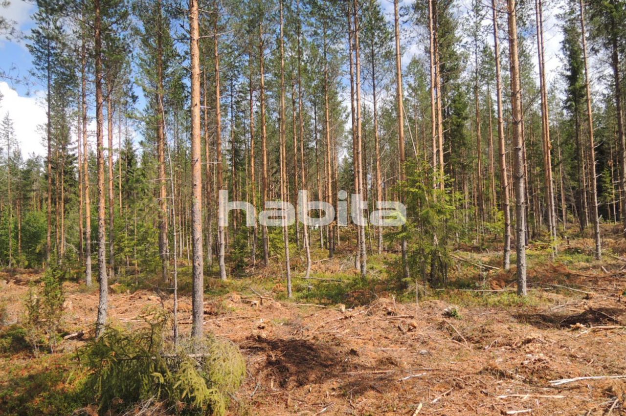 Земля в Сейняйоки, Финляндия, 13 600 м2 - фото 1