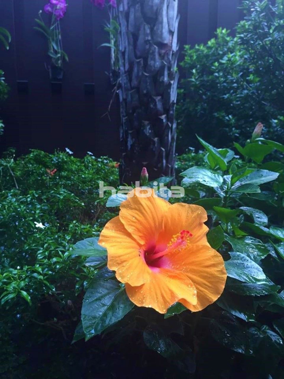 Апартаменты в Паттайе, Таиланд, 75 м² - фото 12