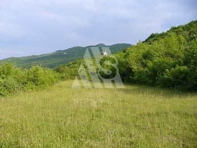 Земля в Даниловграде, Черногория, 128 210 м2 - фото 1