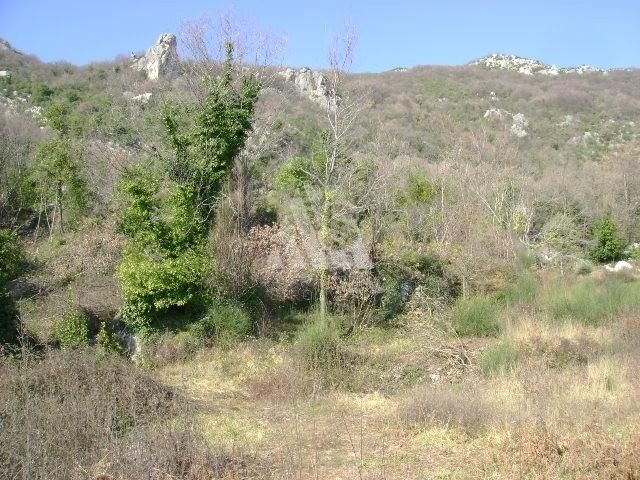 Земля в Херцег-Нови, Черногория, 16 500 м2 - фото 1