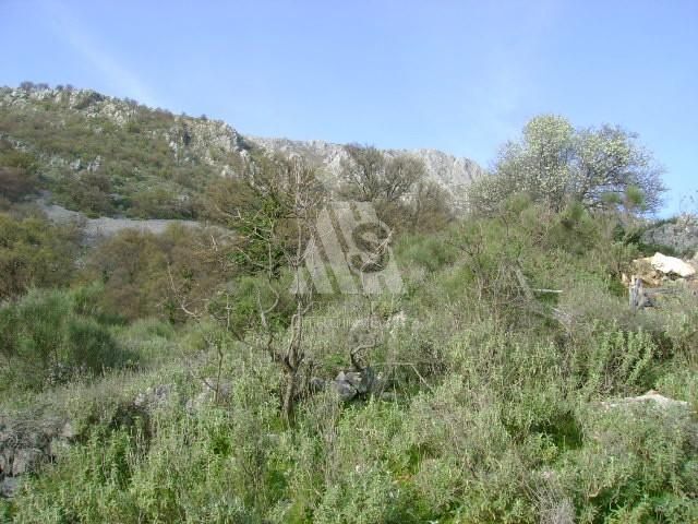 Земля в Утехе, Черногория, 12 549 м2 - фото 1
