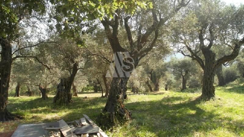 Земля в Баре, Черногория, 3 207 м² - фото 2