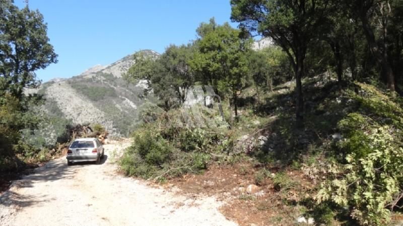 Земля в Сутоморе, Черногория, 600 м² - фото 3