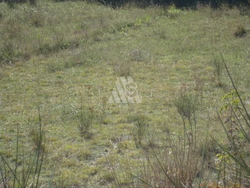 Земля в Баре, Черногория, 5 000 м² - фото 3