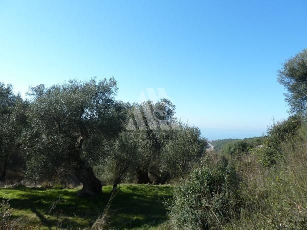 Земля в Кунье, Черногория, 1 970 м² - фото 4