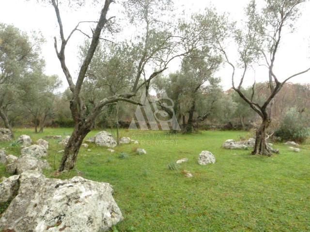 Земля в Утехе, Черногория, 3 300 м² - фото 5