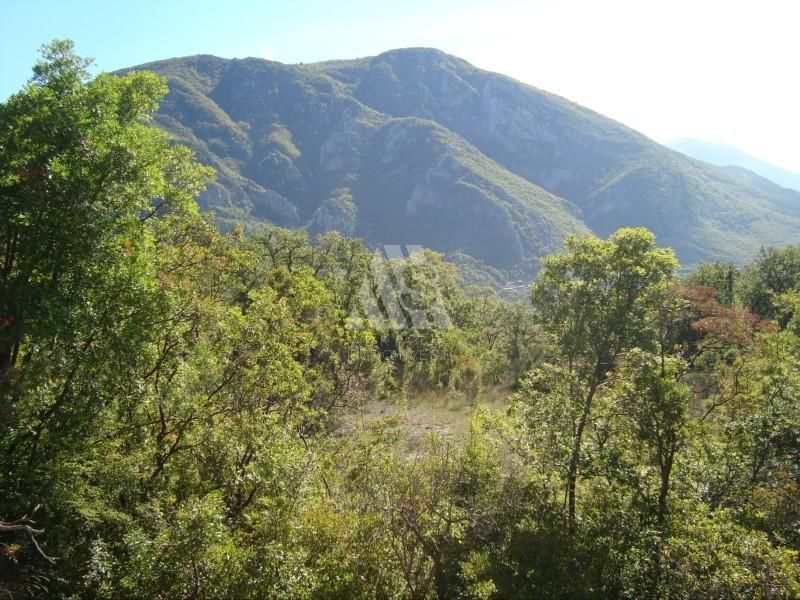 Земля в Баре, Черногория, 5 000 м² - фото 5