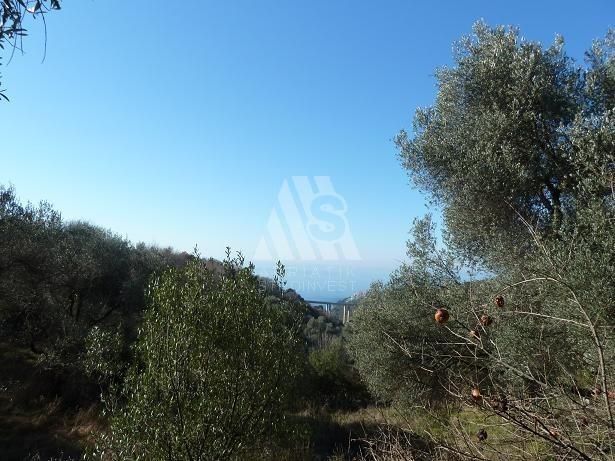 Земля в Кунье, Черногория, 1 970 м² - фото 6