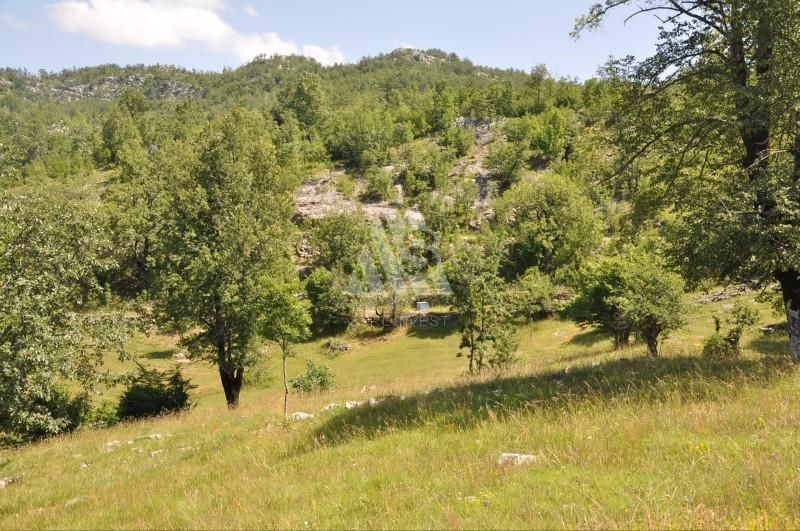 Земля в Никшиче, Черногория, 106 587 м² - фото 5