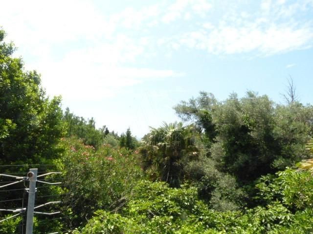 Земля в Сутоморе, Черногория, 1 137 м² - фото 8