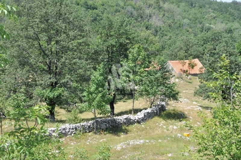 Земля в Никшиче, Черногория, 106 587 м² - фото 7