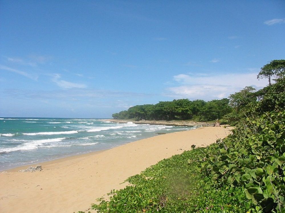 Квартира в Кабарете, Доминиканская Республика, 58 м² - фото 11