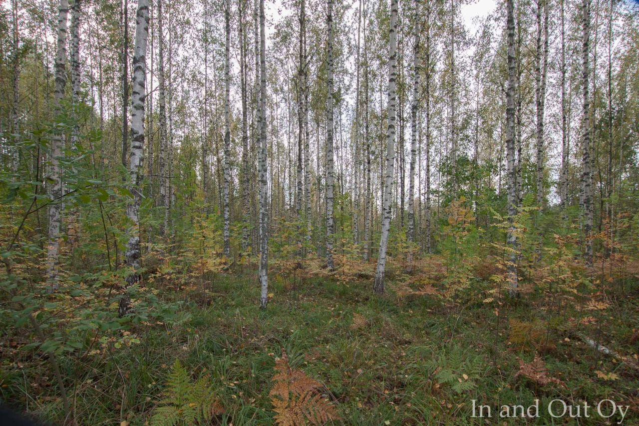 Земля в Лаппеенранте, Финляндия, 1 050 м2 - фото 1