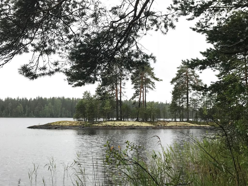 Земля в Руоколахти, Финляндия, 58 сот. - фото 1
