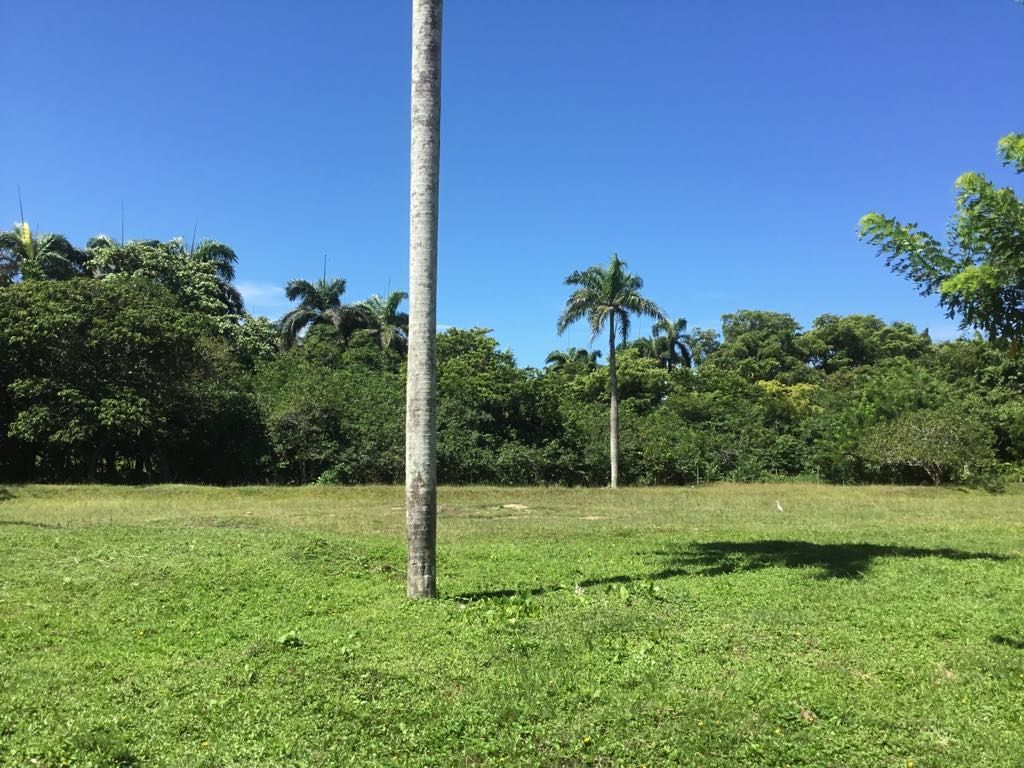 Земля в Кабарете, Доминиканская Республика, 553.85 м2 - фото 1