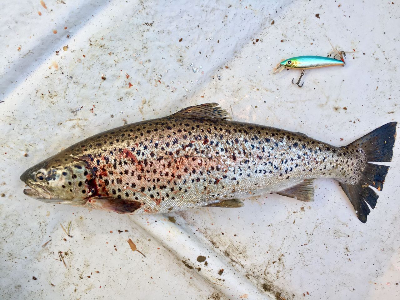 Дом в Пуумала, Финляндия, 240 м² - фото 15