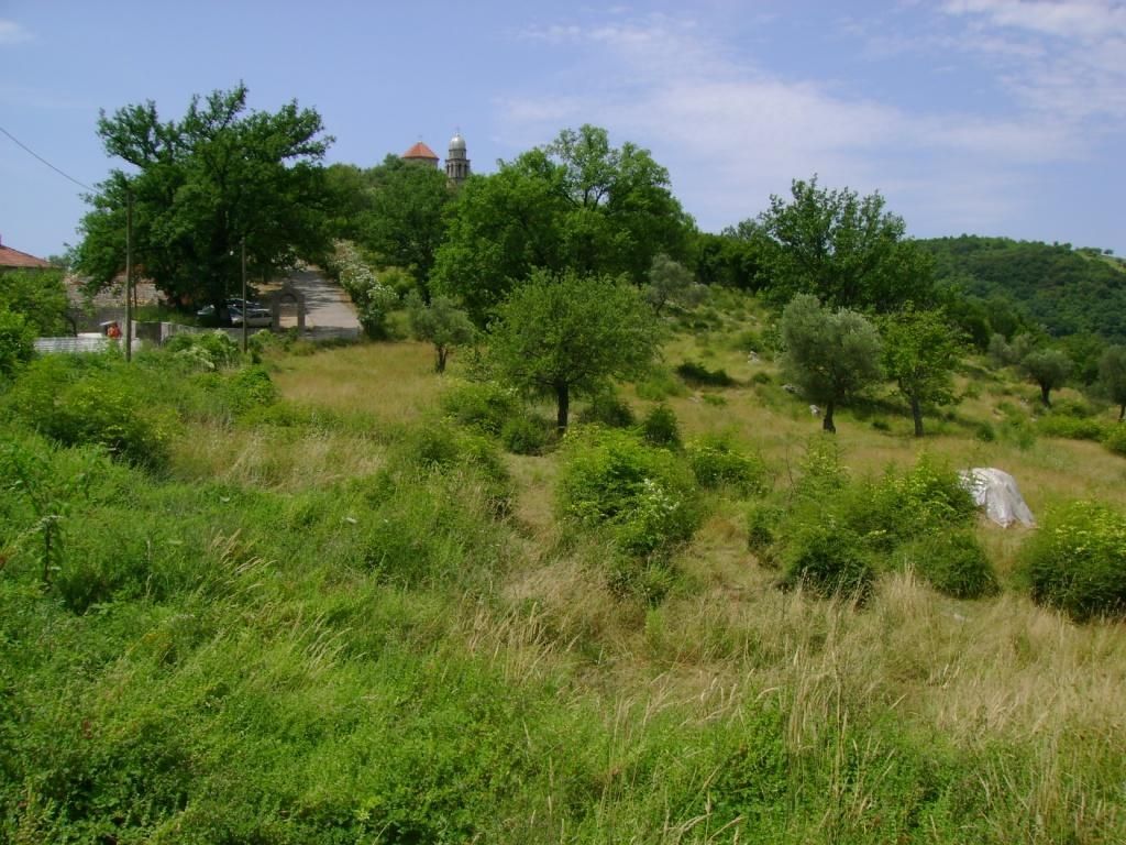 Земля в Зеленике, Черногория, 16 039 м² - фото 1